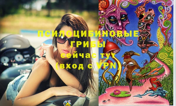 сатива Алексин