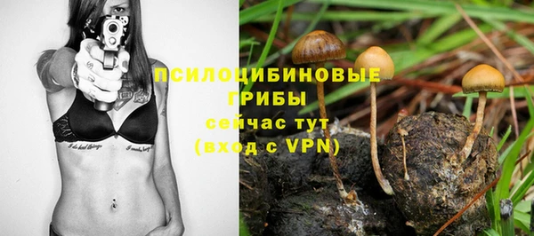 сатива Алексин