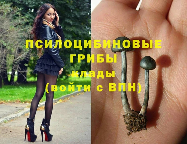 сатива Алексин