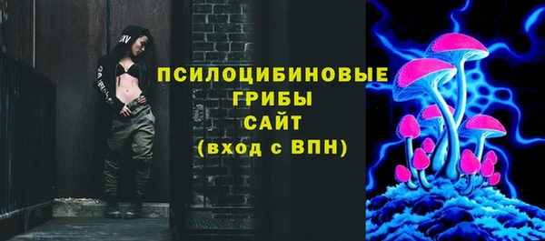 сатива Алексин