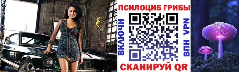 Псилоцибиновые грибы мицелий  Рошаль 